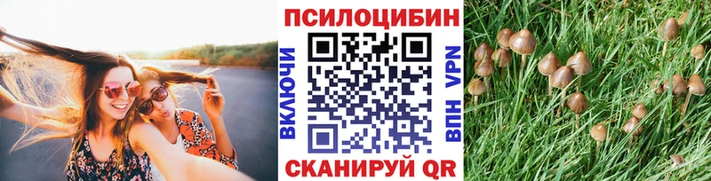 Галлюциногенные грибы Cubensis  Буй 